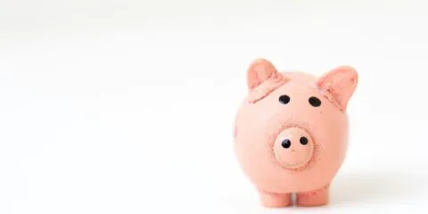 pink pig figurine on white surface