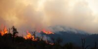 California wildfires consuming trees and landscape in flames.