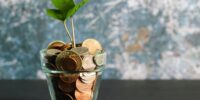 green plant in clear glass vase